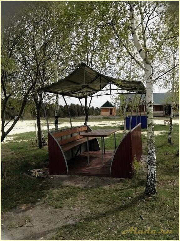Сосновка — удивительная зона отдыха в Пензенской области, где вас ждут чистый воздух, кристальные озера и красивейшие сосны