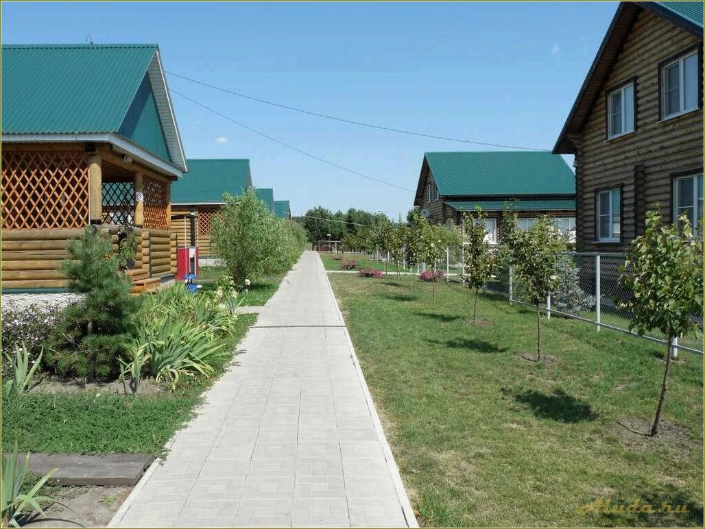 Сосновка — удивительная зона отдыха в Пензенской области, где вас ждут чистый воздух, кристальные озера и красивейшие сосны