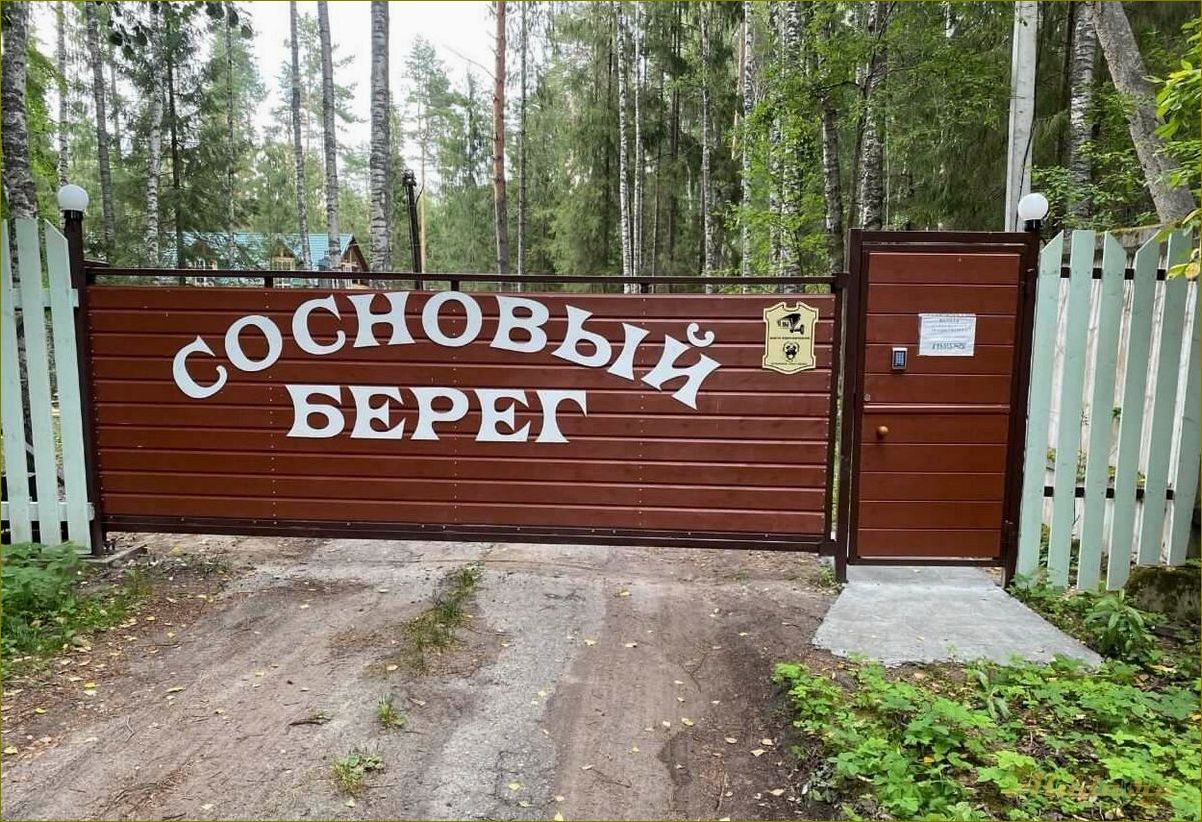 Сосновый база отдыха в Нижегородской области — идеальное место для отдыха на природе