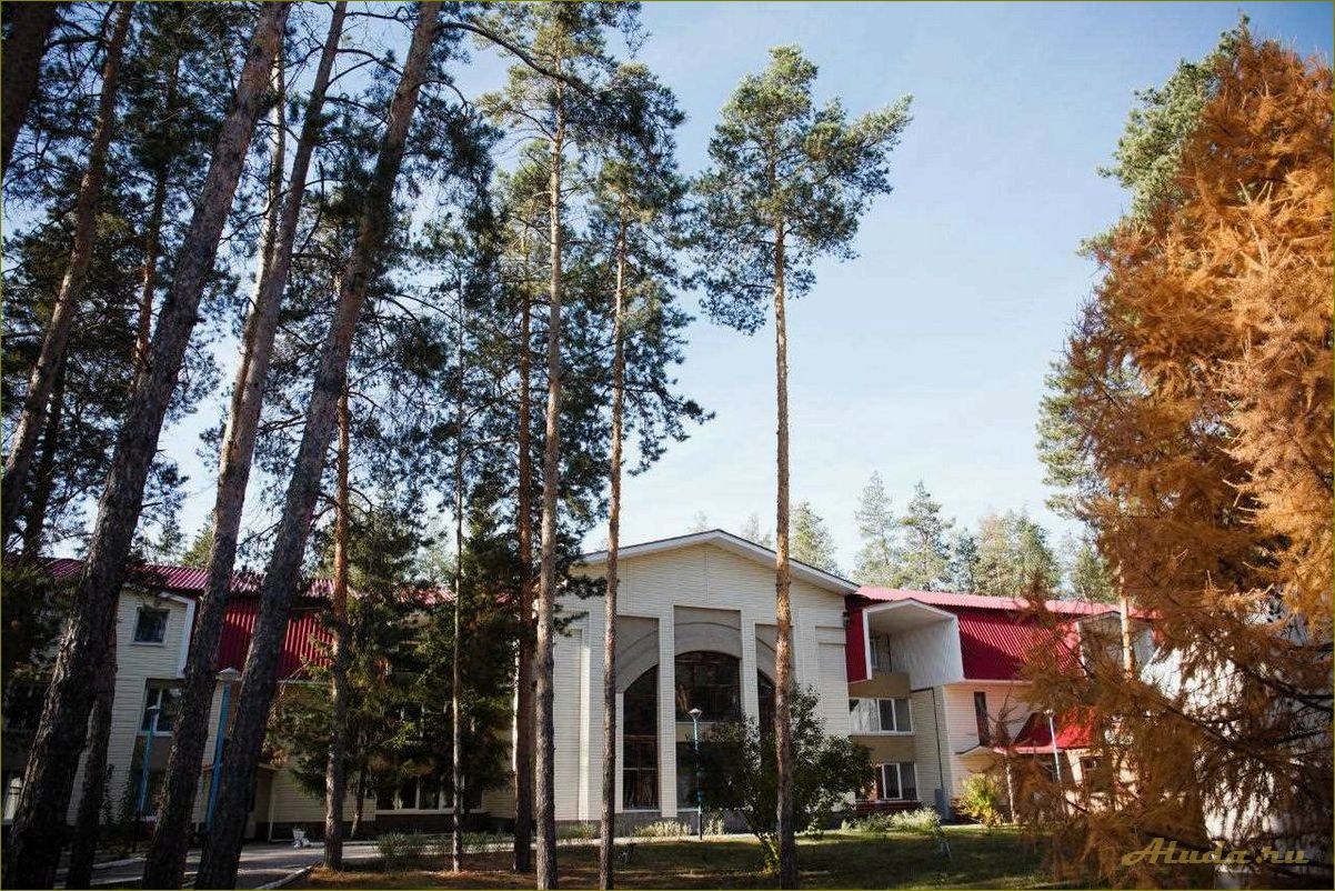 Сосновый база отдыха в Нижегородской области — идеальное место для отдыха на природе