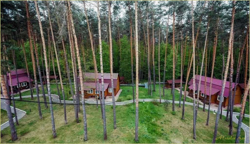 Турбазы для отдыха в Тульской области