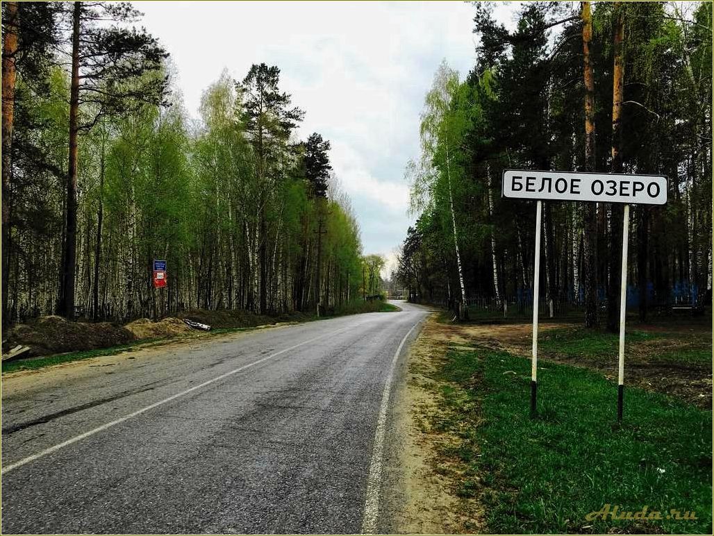 Отдых у Белого озера в Николаевском районе Ульяновской области: идеальное место для отдыха и релаксации