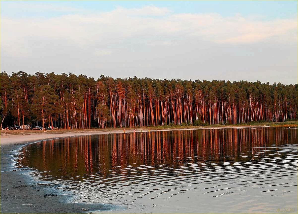 Лучшие места для отдыха и релаксации в живописной Курганской области 