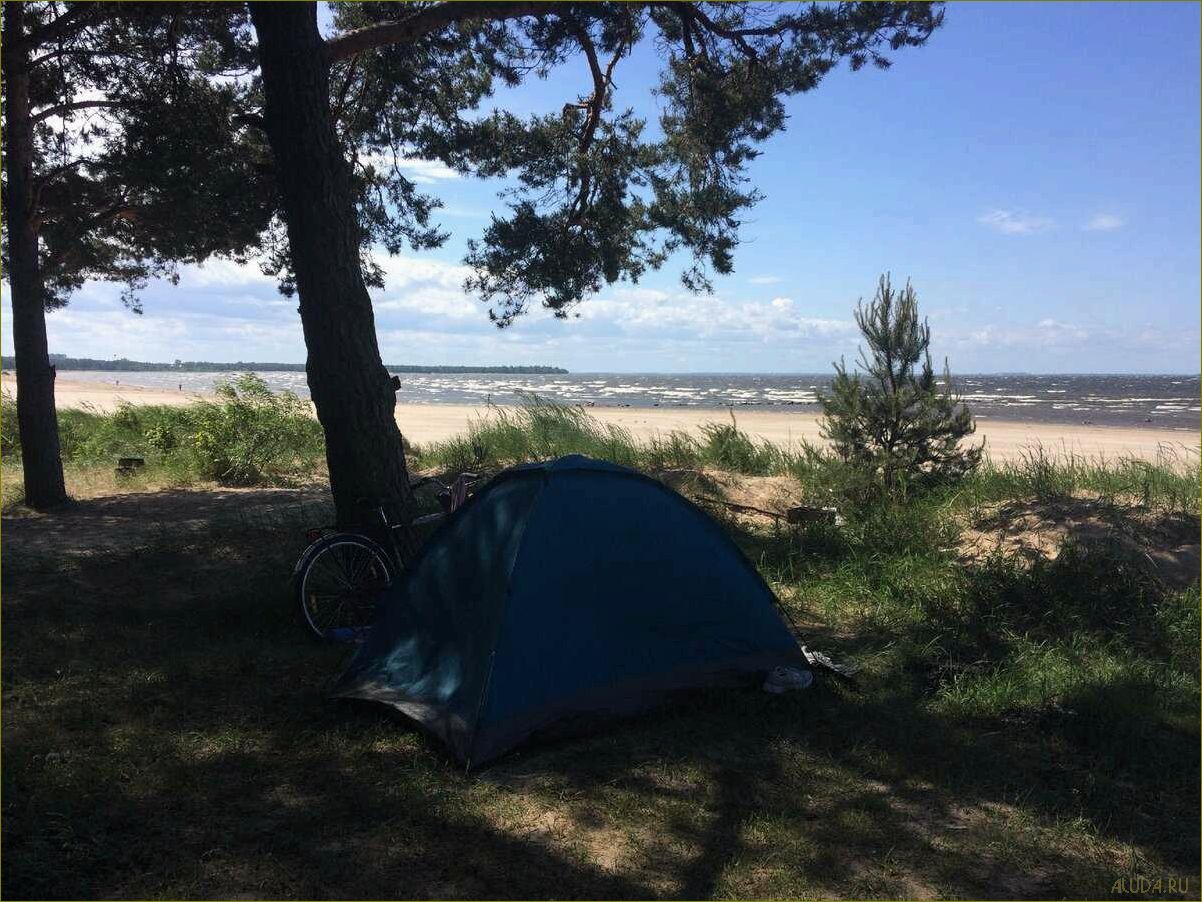 Зеленогорск Кемеровская область — идеальное место для отдыха на природе, где можно насладиться дикой красотой и спокойствием