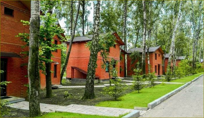 База отдыха в Московской области — комфортный отдых по доступной цене