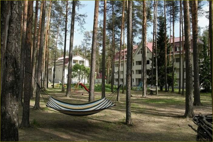 Искатель ленинградская область — база отдыха для полного расслабления и наслаждения природой