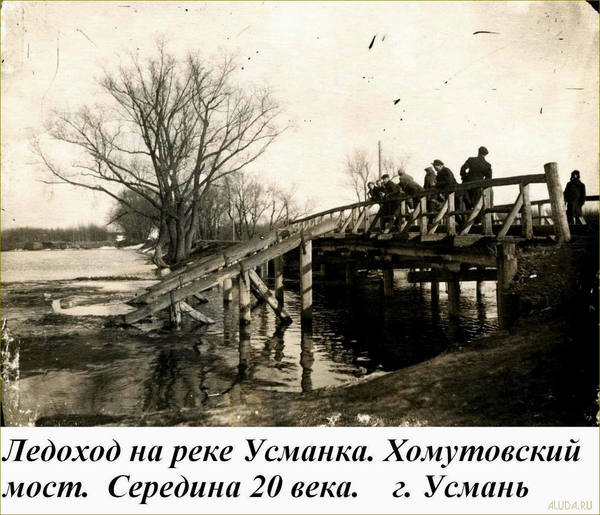 База отдыха в Липецкой области — уникальное место для релакса в Усмани, Липецкая область