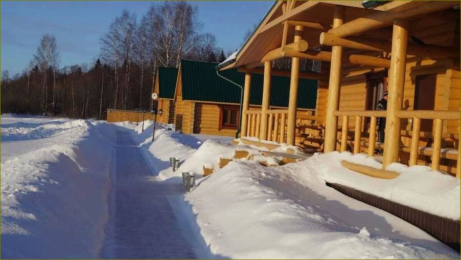 Лучшие базы отдыха в живописной Архангельской области — отпускайтесь с комфортом и наслаждайтесь природой!