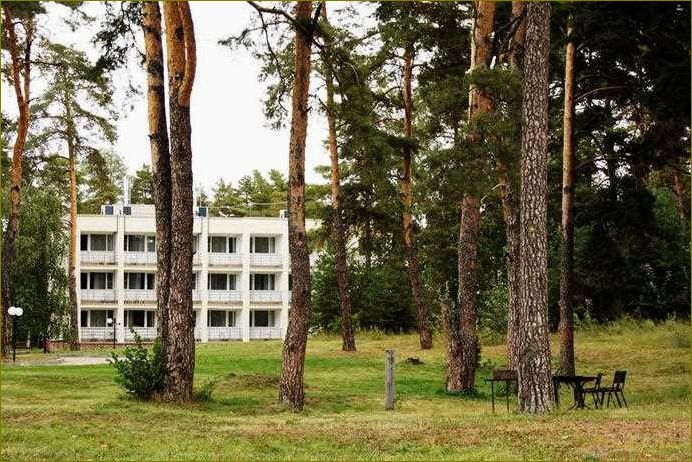 Чайка — прекрасная база отдыха в Нижегородской области для полного релакса и наслаждения природой