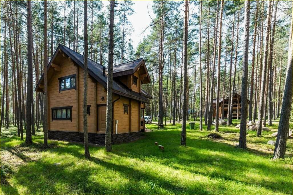Разнообразные возможности детской базы отдыха в Ленинградской области 