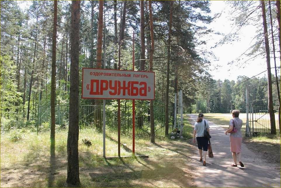 Лучшие места для детского отдыха во Владимирской области — где провести незабываемые каникулы с детьми