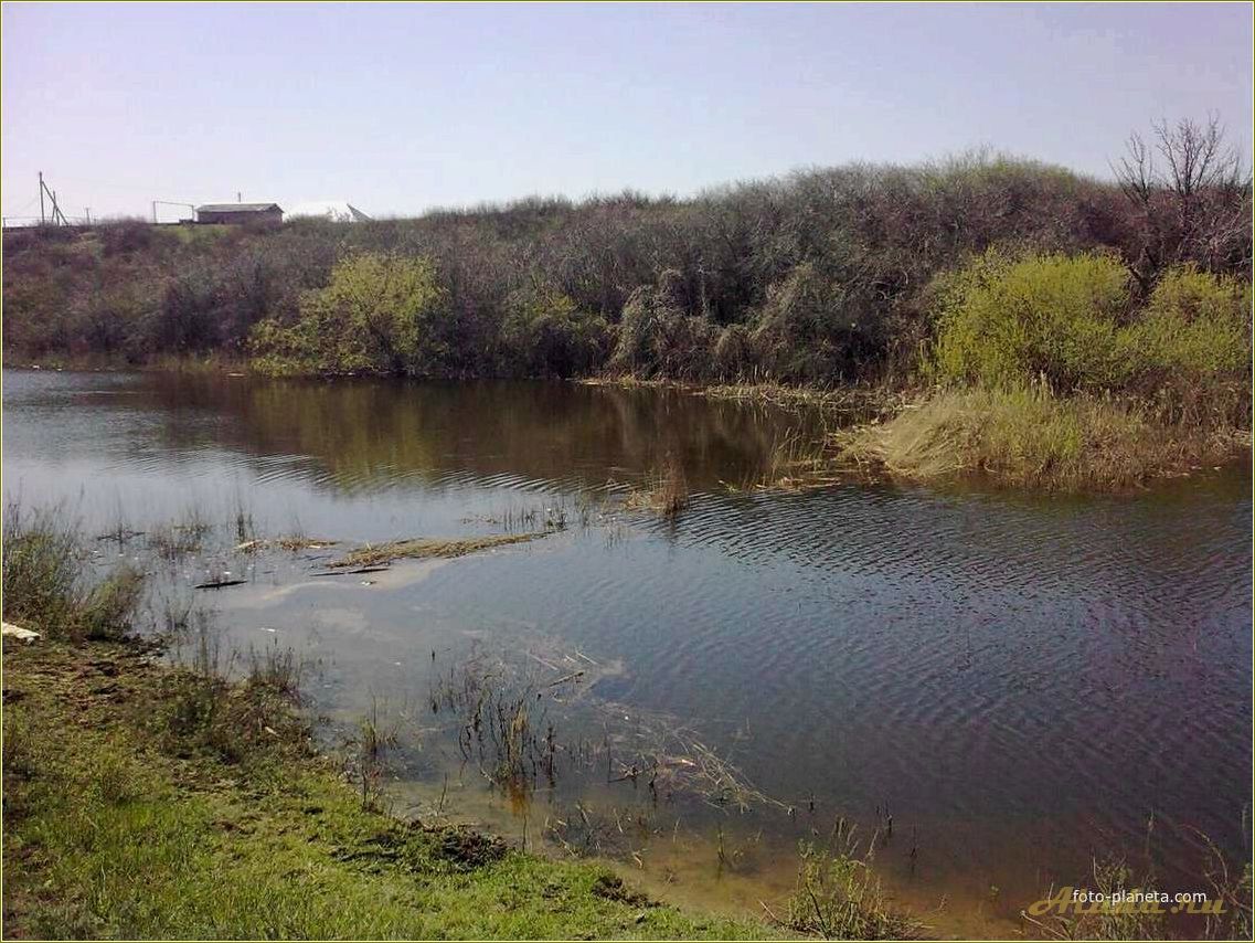 Федоровка Саратовская область отдых