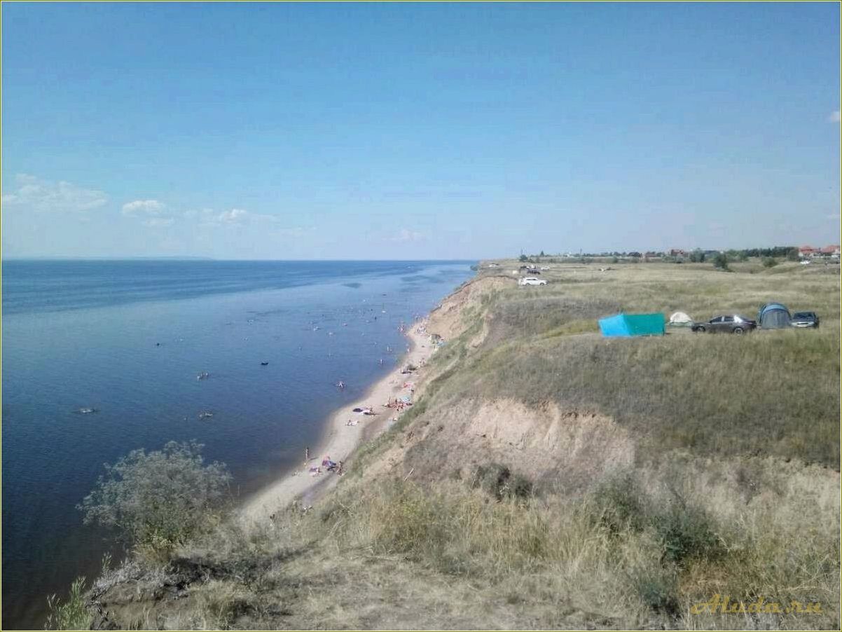 Ягодные удивления Самарской области: откройте для себя богатство ягодных культур в регионе