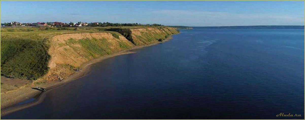 Ягодные удивления Самарской области: откройте для себя богатство ягодных культур в регионе