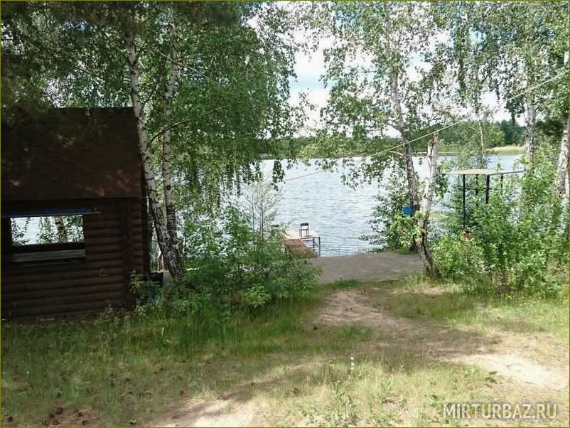 Экоостров в Орловской области — база отдыха с уникальными возможностями и доступной ценой