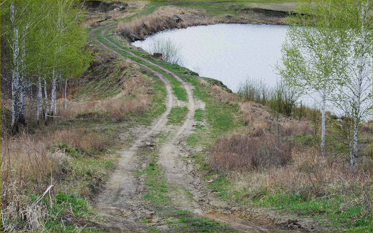 Комария в Курганской области — идеальная база отдыха для любителей природы и активного отдыха