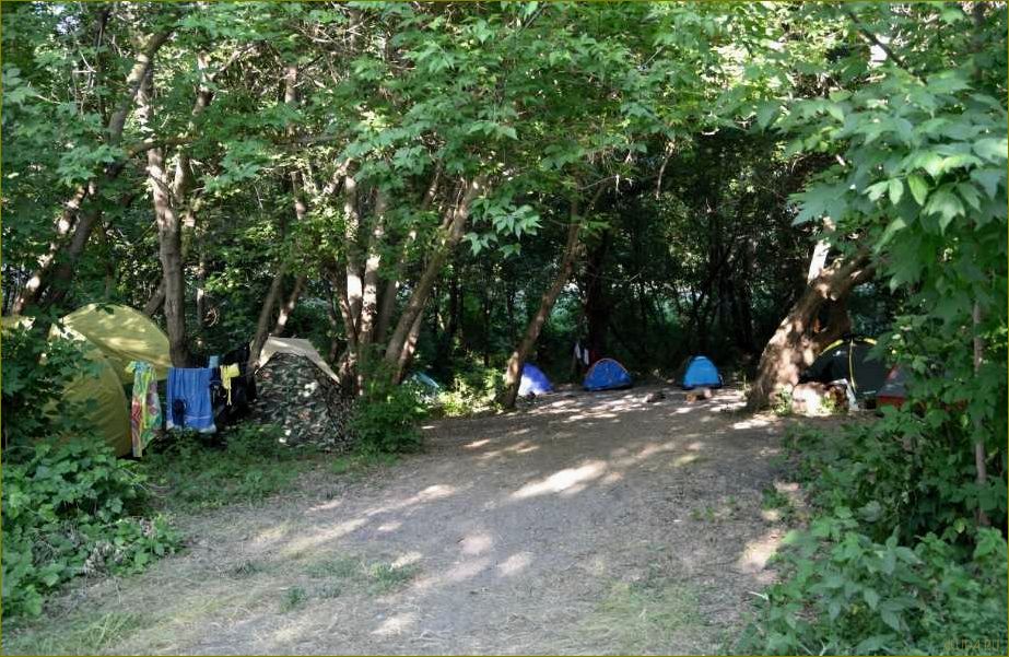 Кривоборье Воронежская область — отдых с палатками в кемпинге, природные красоты и возможности активного отдыха