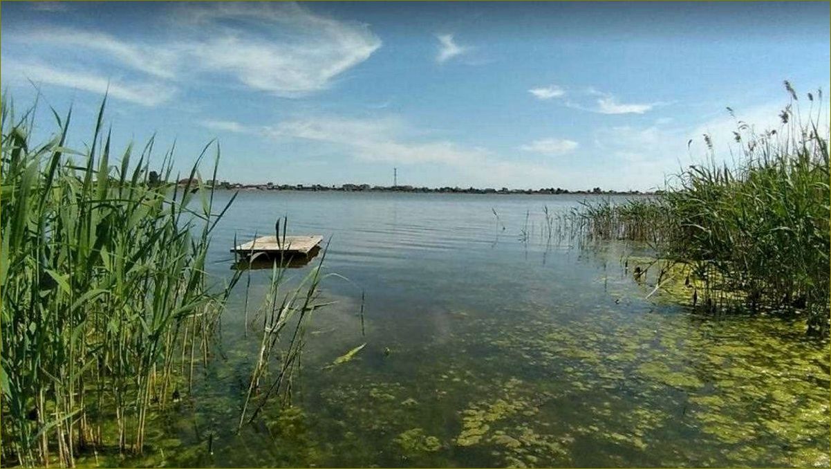 Лучшие озера Курганской области, идеальные для отдыха и релаксации в окружении природы