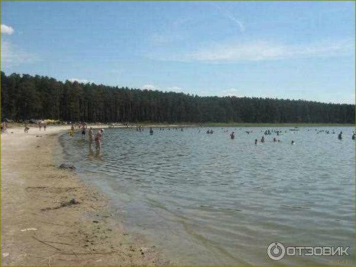 Лучшие озера Курганской области, идеальные для отдыха и релаксации в окружении природы