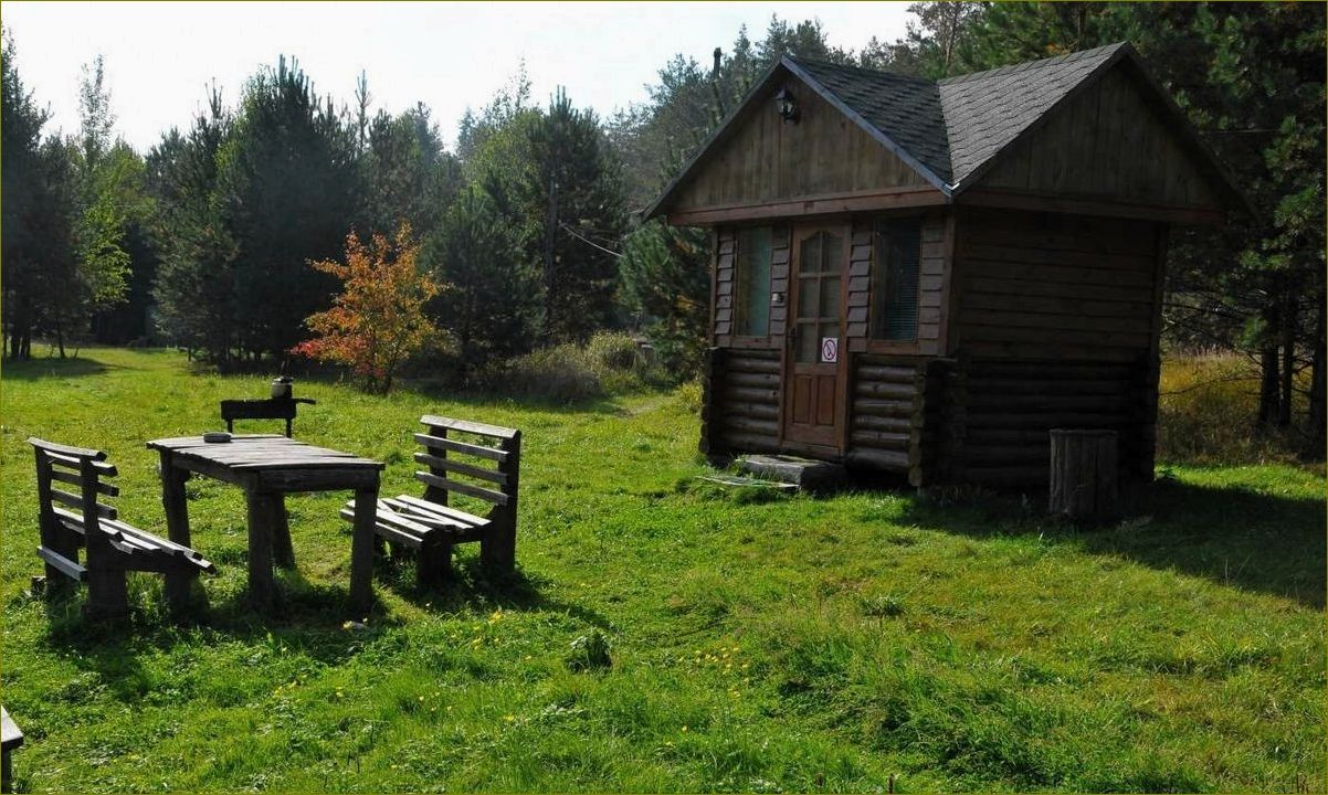 Отдых в деревне Брянской области — наслаждайтесь природой, историей и гостеприимством местных жителей