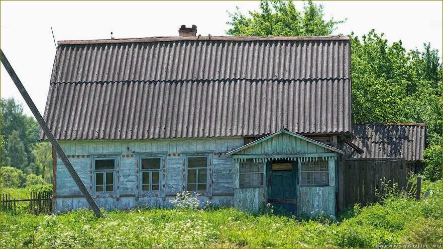 Отдых в деревне Брянской области — наслаждайтесь природой, историей и гостеприимством местных жителей