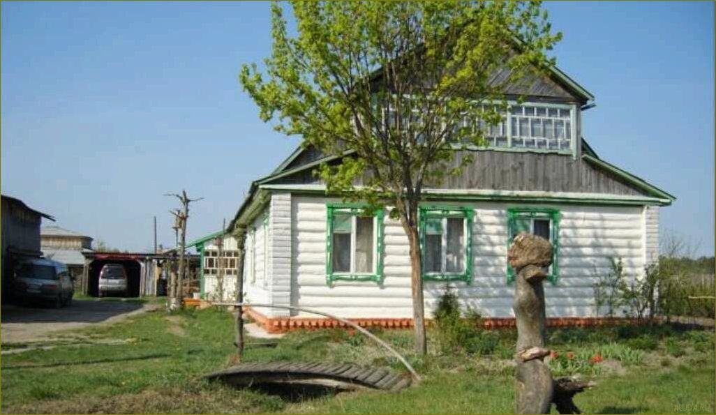 Отдых в деревне Брянской области — наслаждайтесь природой, историей и гостеприимством местных жителей