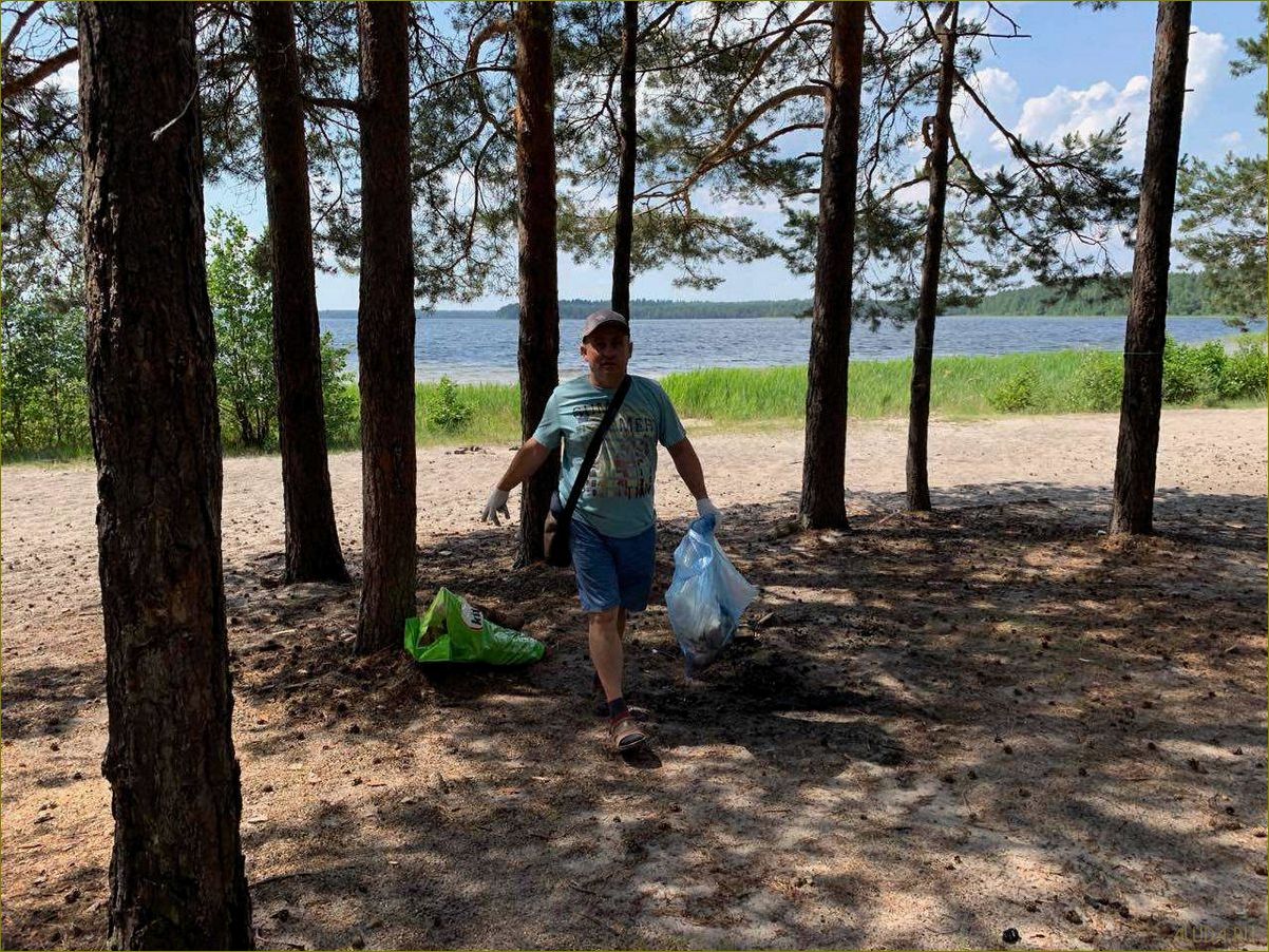 Исследуйте прекрасный южский район Ивановской области и наслаждайтесь идеальным отдыхом в окружении природы