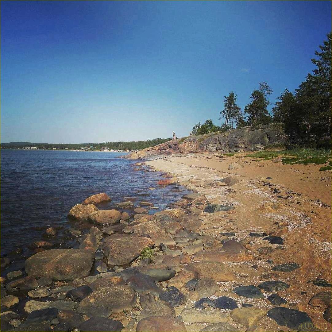 Отдых на белом море архангельская область летом — лучшие пляжи, экскурсии, развлечения и возможности активного отдыха