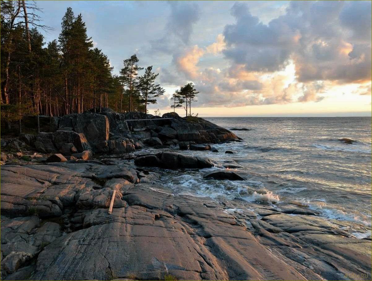 Отдых на белом море архангельская область летом — лучшие пляжи, экскурсии, развлечения и возможности активного отдыха