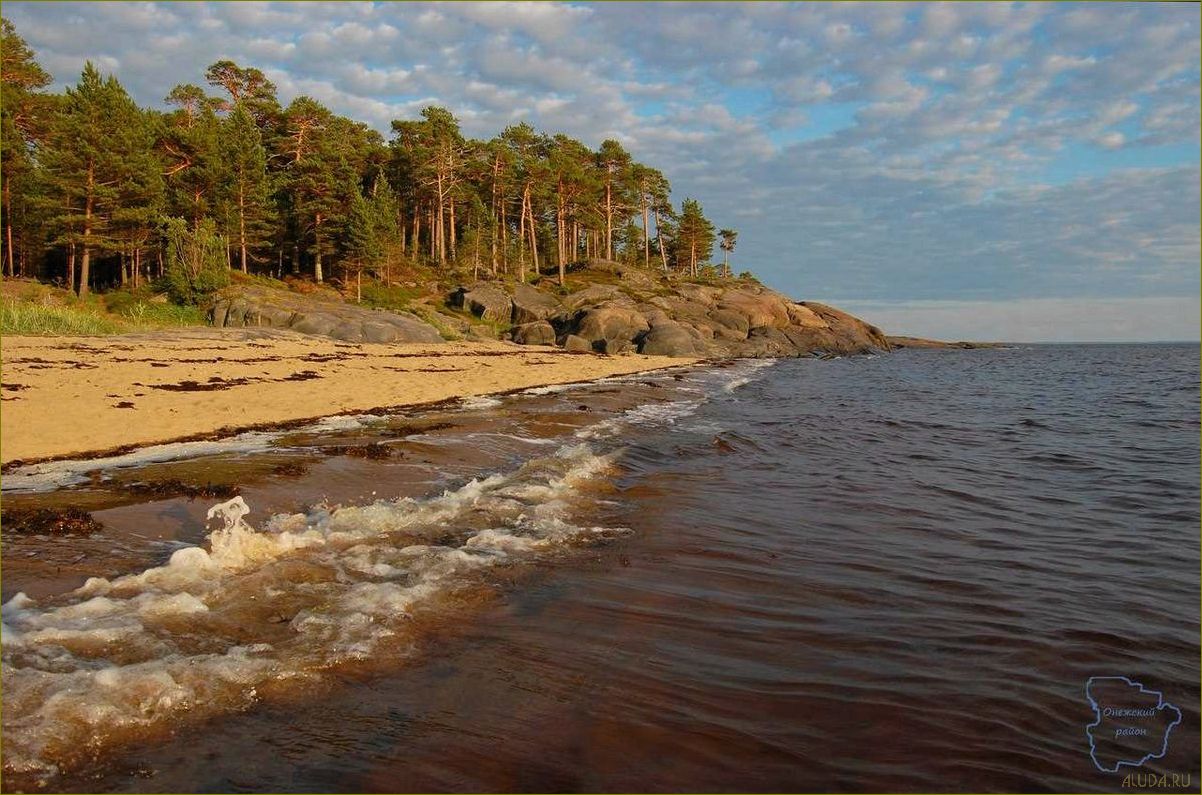Отдых на белом море архангельская область летом — лучшие пляжи, экскурсии, развлечения и возможности активного отдыха
