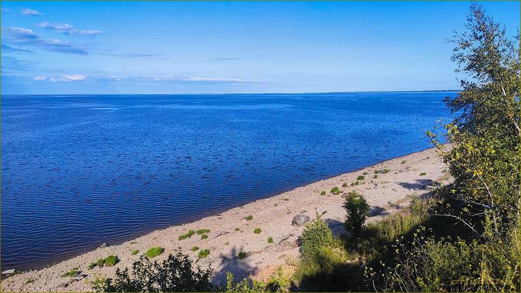 Отдых на озере Ильмень в Новгородской области — лучшие базы отдыха и развлечения