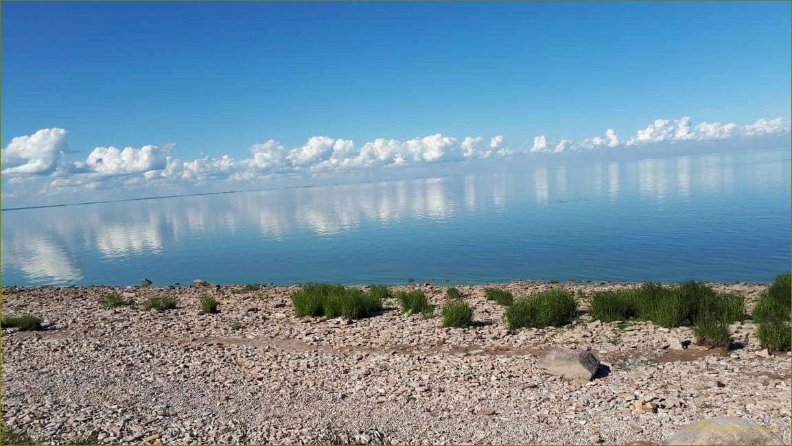 Отдых на озере Ильмень в Новгородской области — лучшие базы отдыха и развлечения