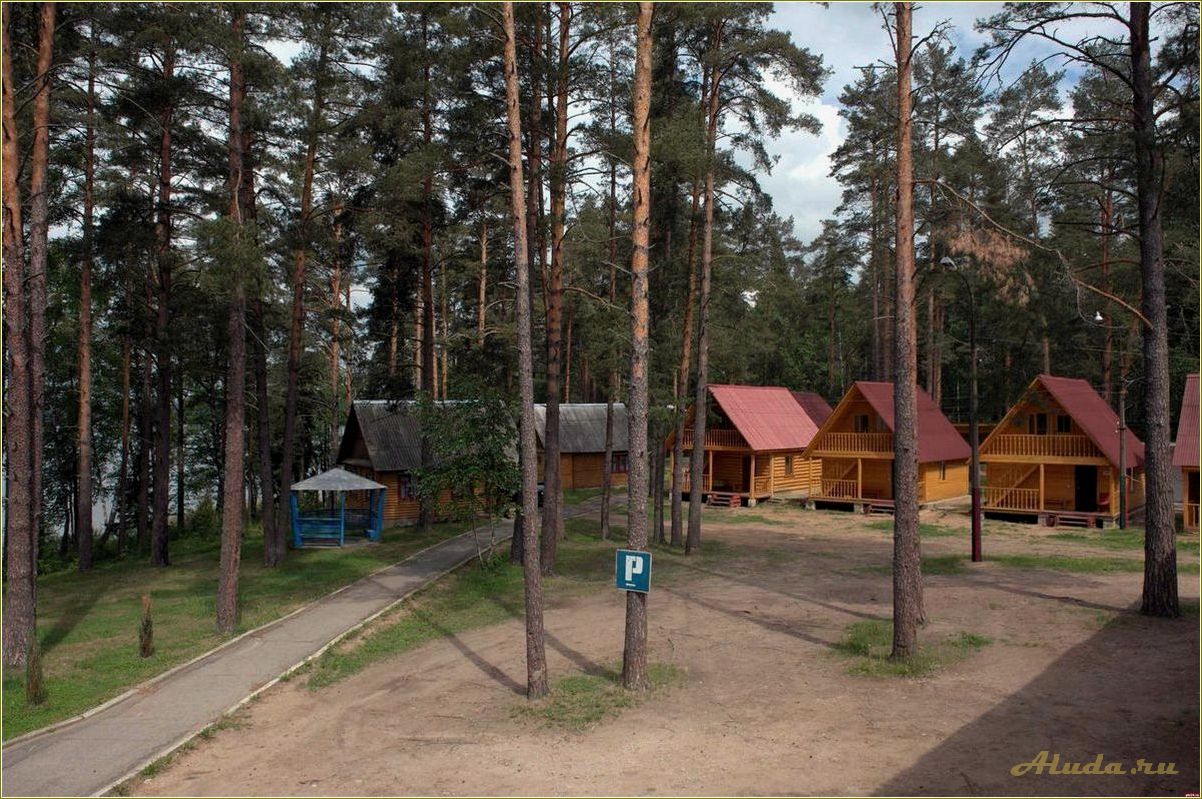 Сравнение санаториев и баз отдыха в Псковской области — выбор лучшего места для отдыха и лечения