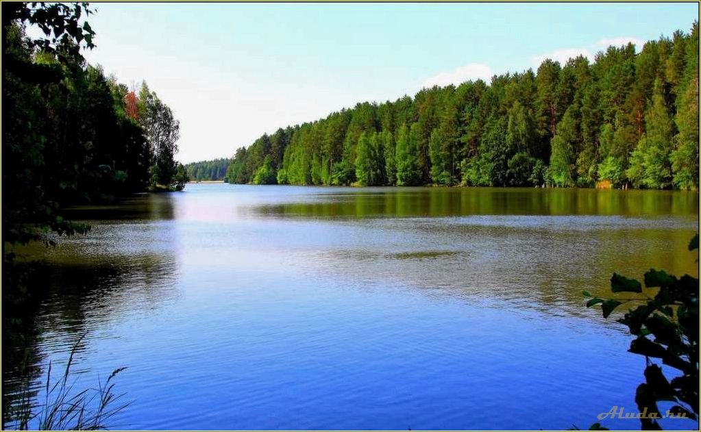 Шемышейка — пензенская область — база отдыха