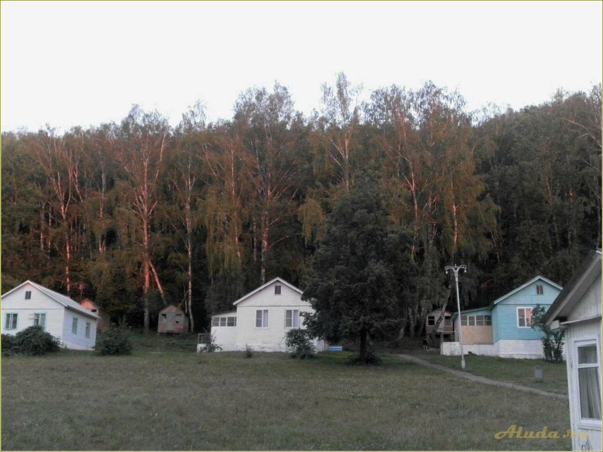 Отдых в Шилово, Тульская область: лучшие места и развлечения