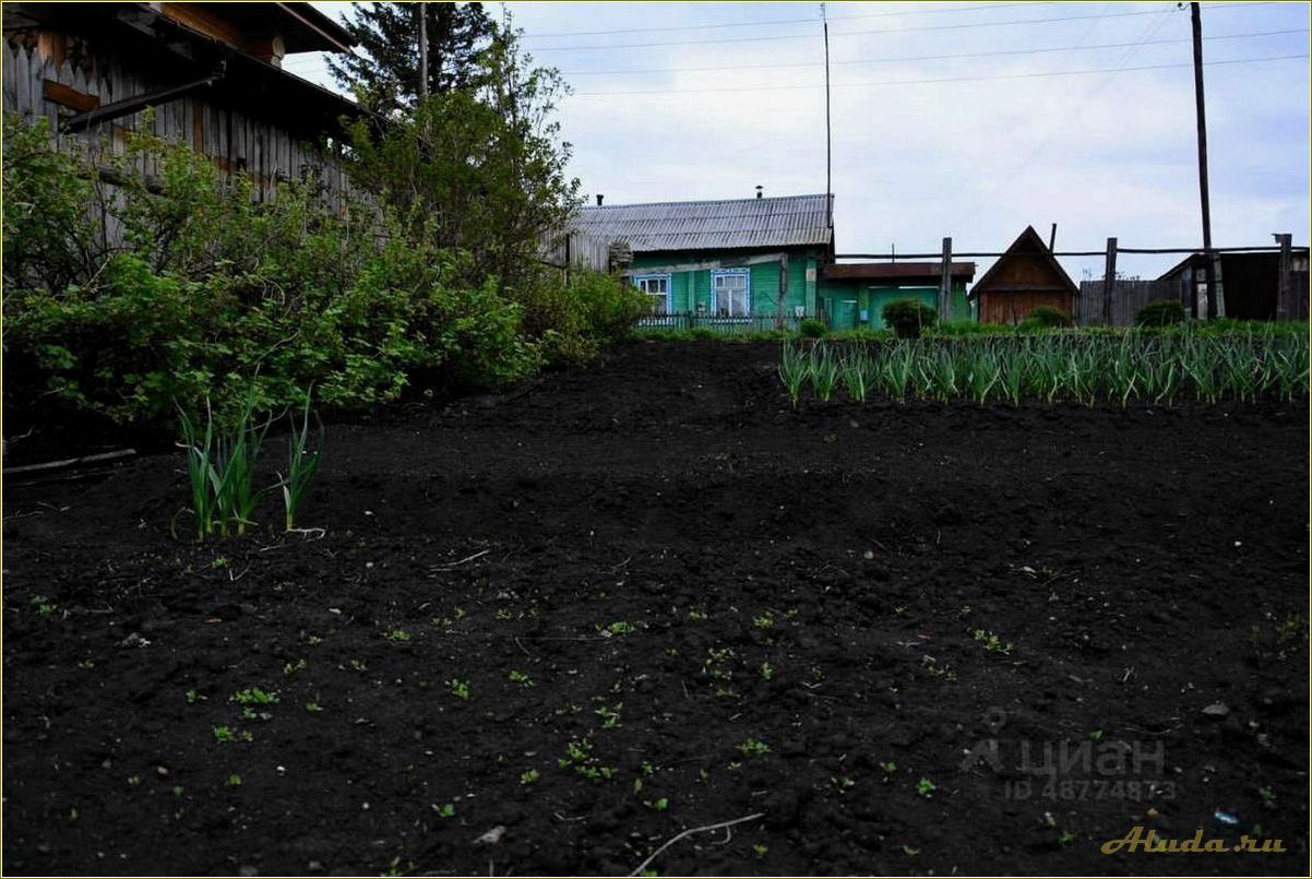 (отдыха, шилово, свердловская, область, идеальное) Дом отдыха в Шилово, Свердловская область: идеальное место для отдыха и релаксации
