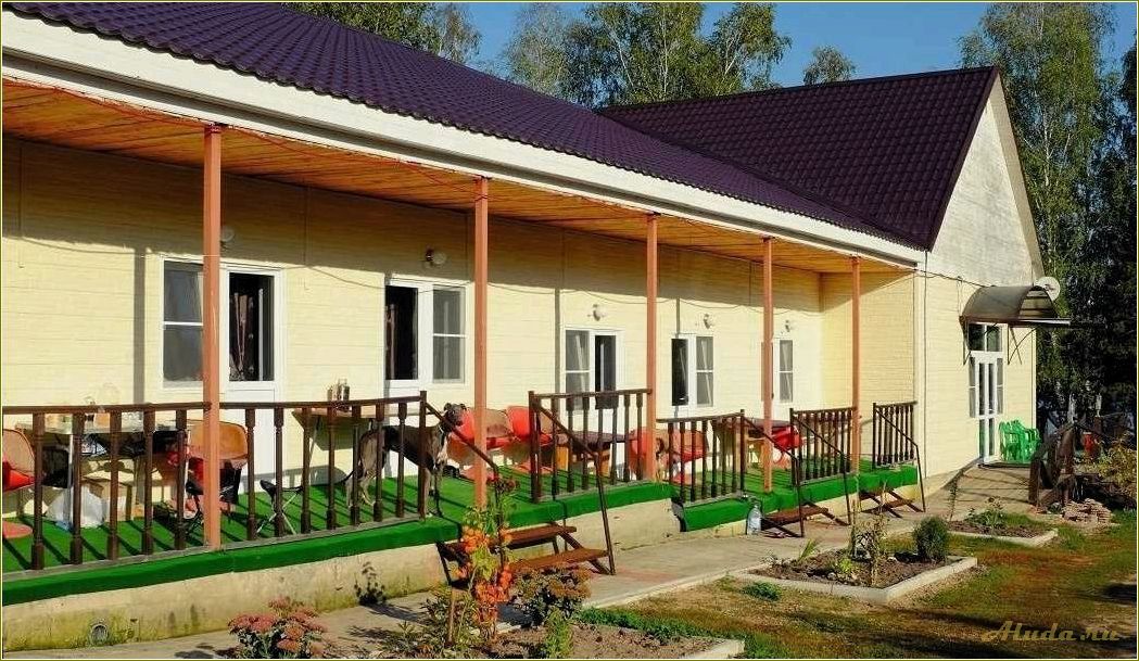 Смоленская область: недорогие дома отдыха для комфортного отдыха