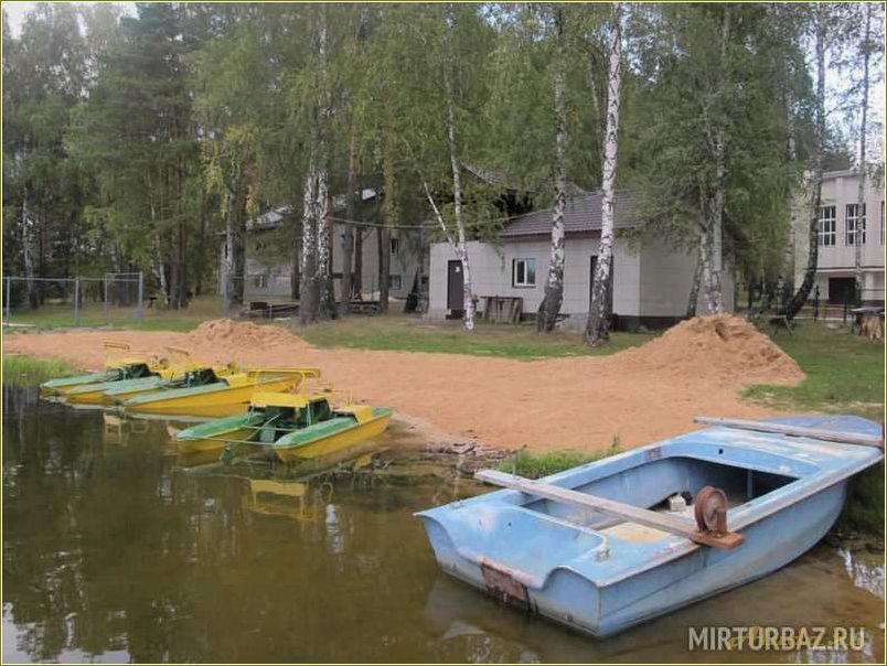Сынтул — рязанская область — база отдыха 