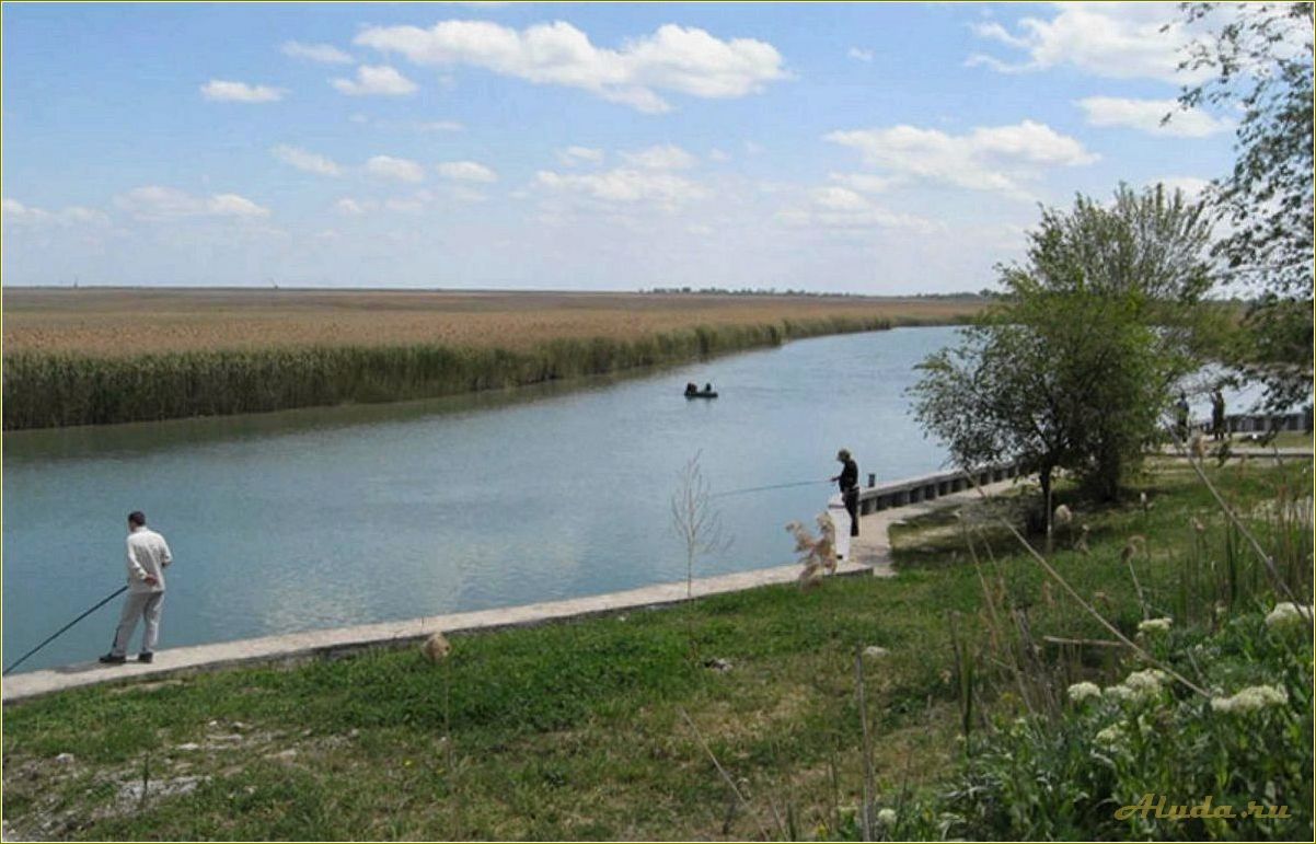 (тихая, пристань, база, отдыха, ростовской) Тихая пристань база отдыха в Ростовской области — уединение с природой и комфортный отдых