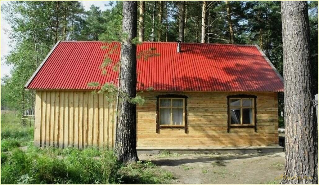 Томская область: рыбалка на базе отдыха