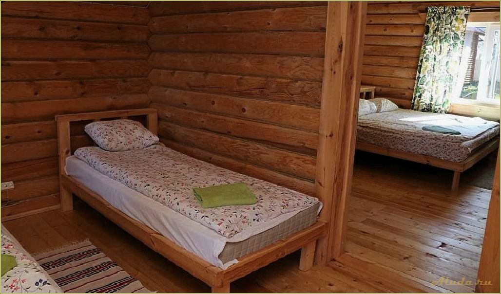 (тридевятое, царство, база, отдыха, псковской) Тридевятое царство база отдыха в Псковской области — отзывы, условия проживания и развлечения для отдыхающих