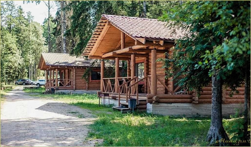 (тридевятое, царство, база, отдыха, псковской) Тридевятое царство база отдыха в Псковской области — отзывы, условия проживания и развлечения для отдыхающих