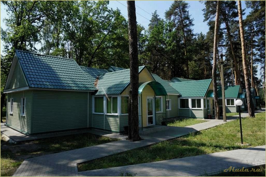 Турбазы отдыха в Тамбовской области